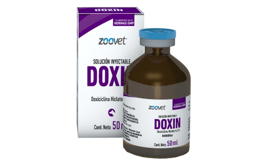 DOXIN
